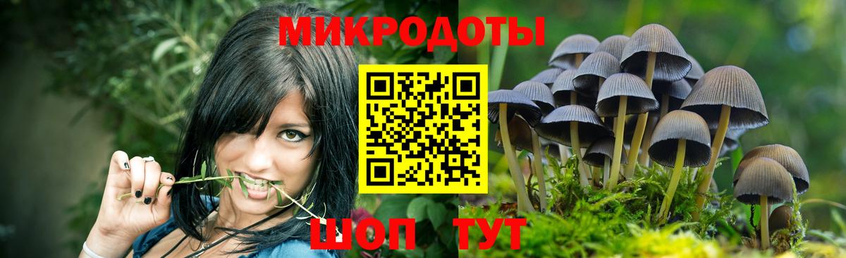 Псилоцибиновые грибы Magic Shrooms  Галлюциногенные грибы Magic Shrooms  Вход с VPN  Геленджик 